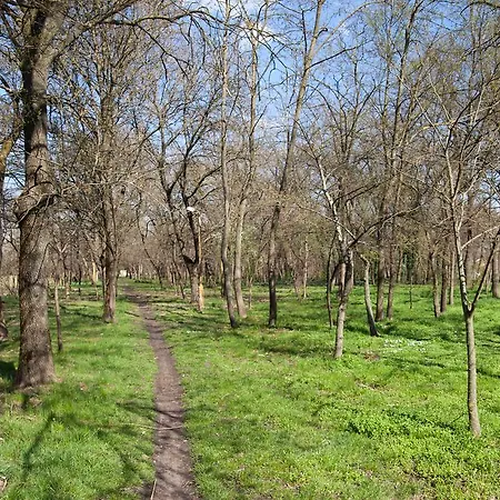 Kakasszéki Székkutas