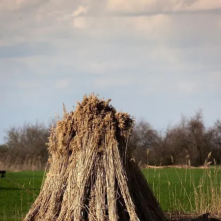 Kakasszéki